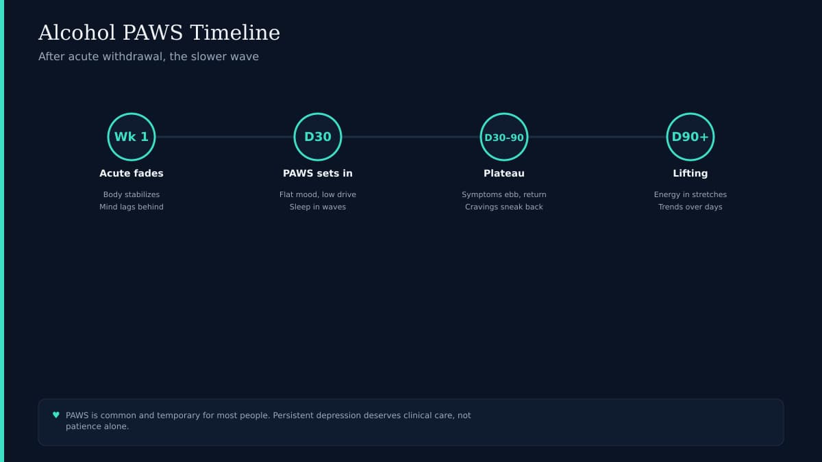 Long recovery arc chart showing acute withdrawal fading into post-acute symptoms over months on dark navy with teal accents